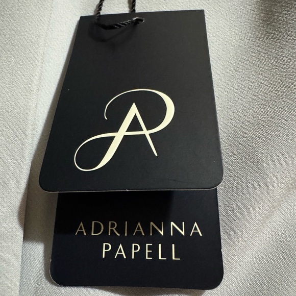 Adrianna Papell Pants - Adrianna Papell Grey Micro Colored Pants - NWT